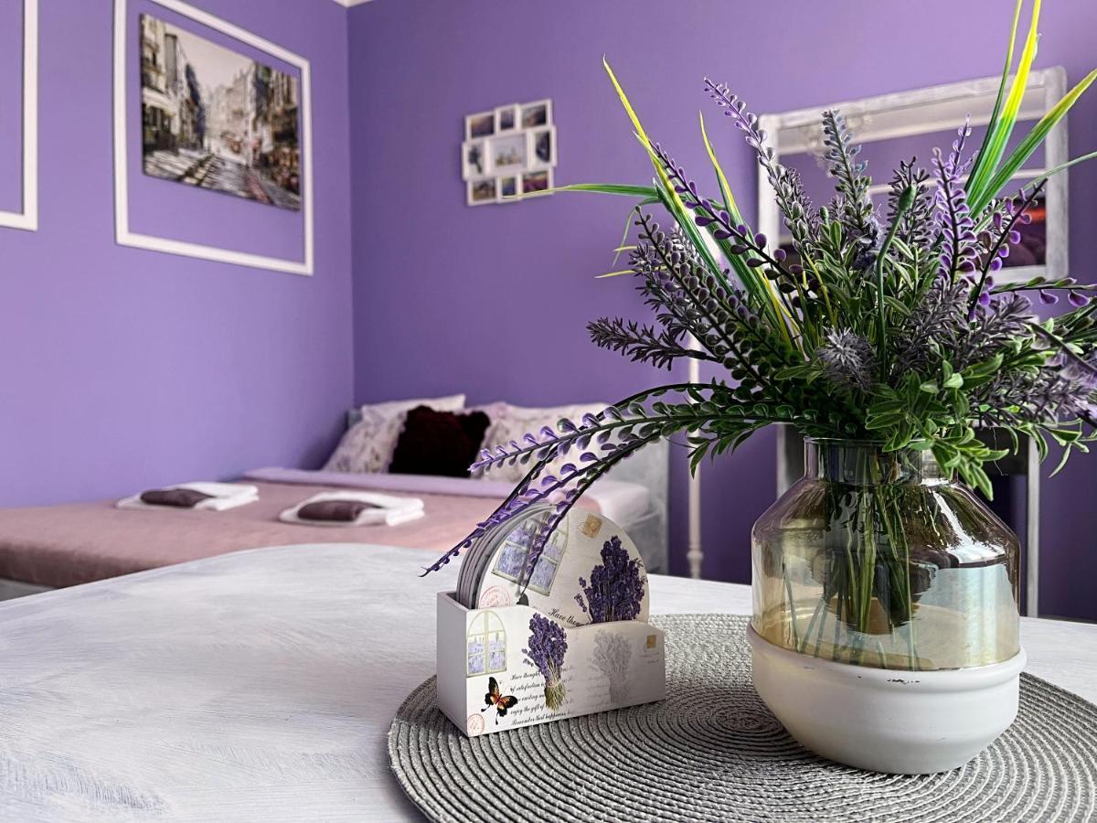 Apartament Lawendowy Wałbrzych Zewnętrze zdjęcie