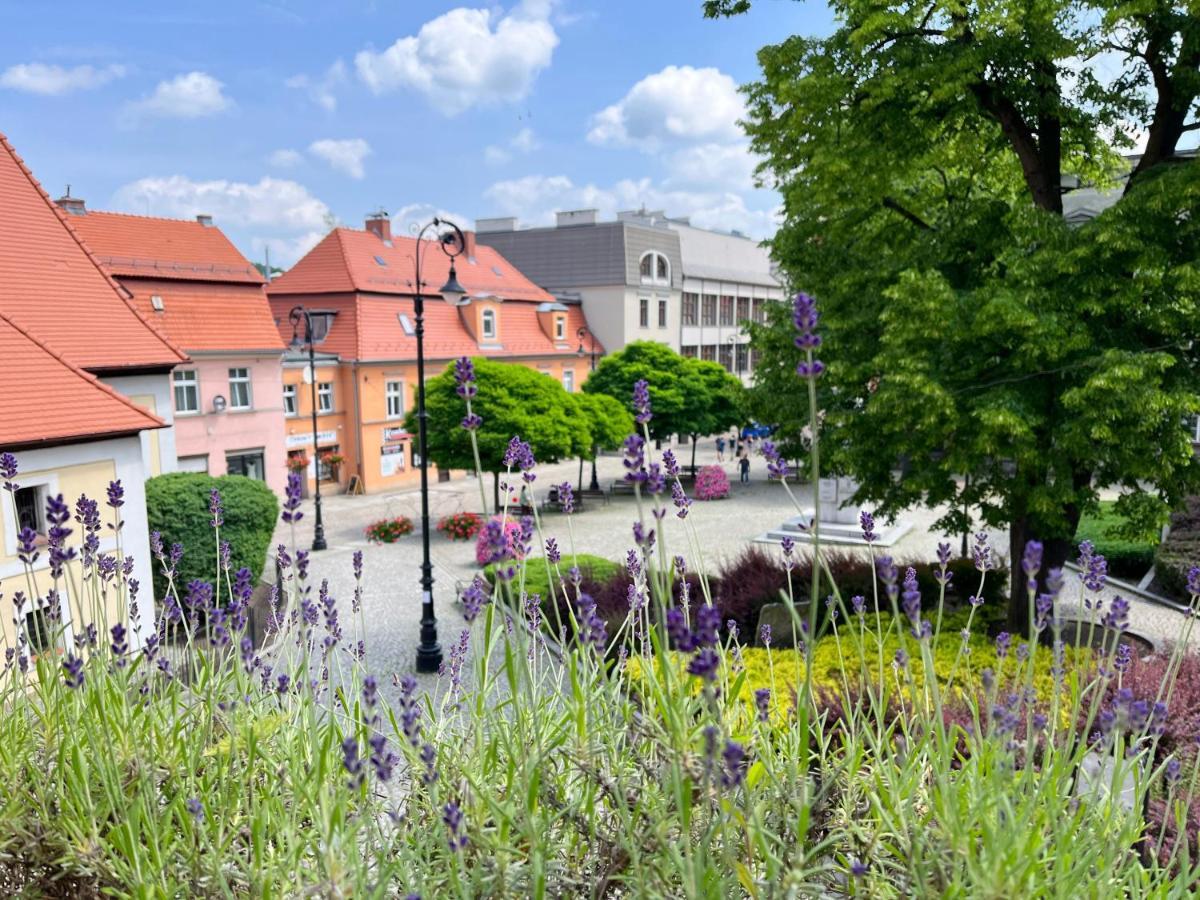 Apartament Lawendowy Wałbrzych Zewnętrze zdjęcie