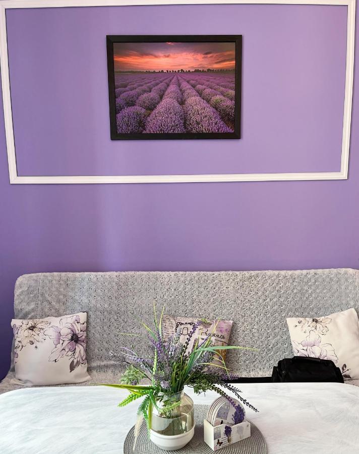 Apartament Lawendowy Wałbrzych Zewnętrze zdjęcie